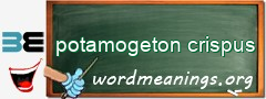 WordMeaning blackboard for potamogeton crispus